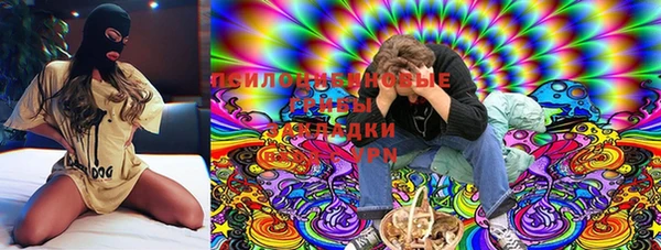МДПВ Горняк