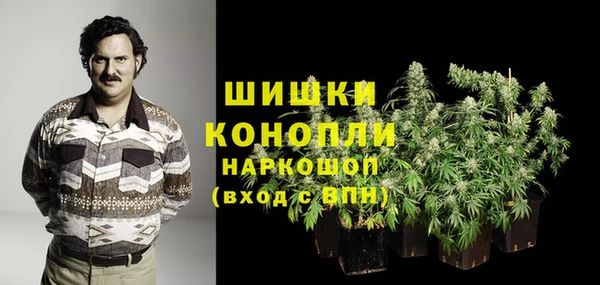 PSILOCYBIN Тихорецк